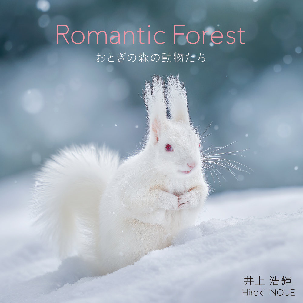 Romantic Forest おとぎの森の動物たち